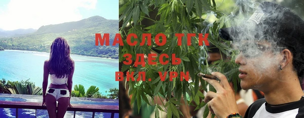 стаф Осинники