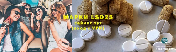 прущие грибы Абдулино