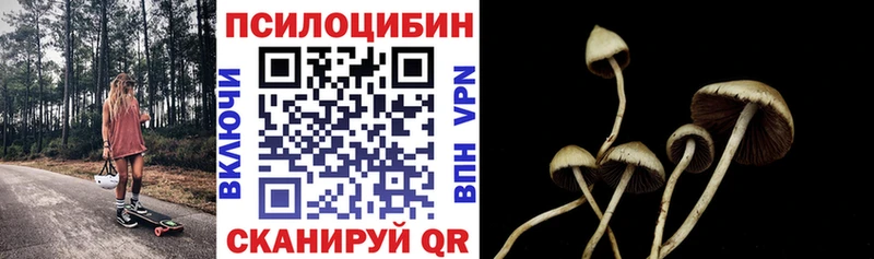 МЕГА ссылки  Касимов  Галлюциногенные грибы GOLDEN TEACHER 