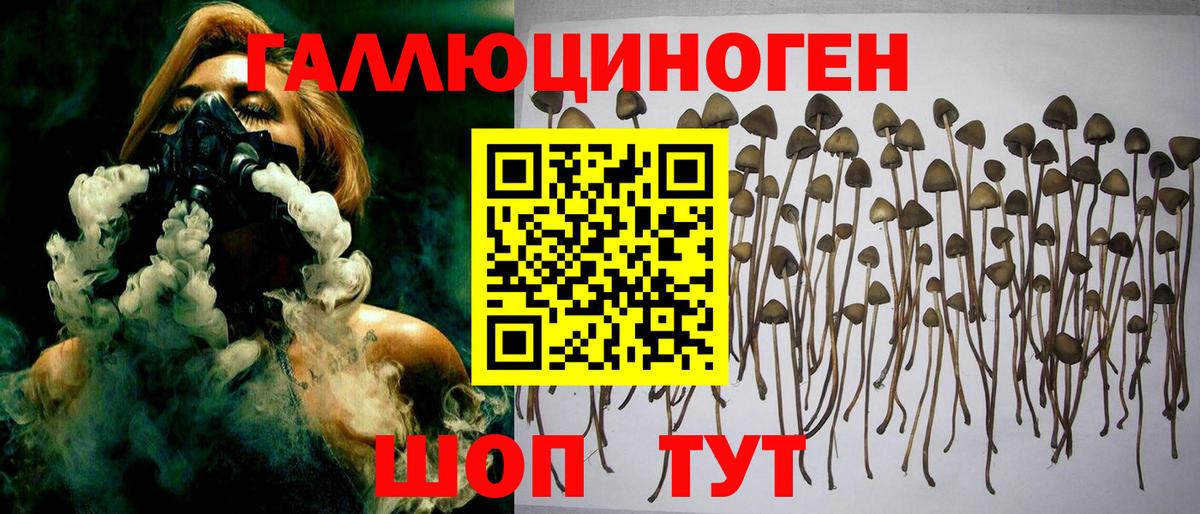Галлюциногенные грибы Magic Shrooms  Вход с VPN  Псилоцибиновые грибы ЛСД  Касимов 